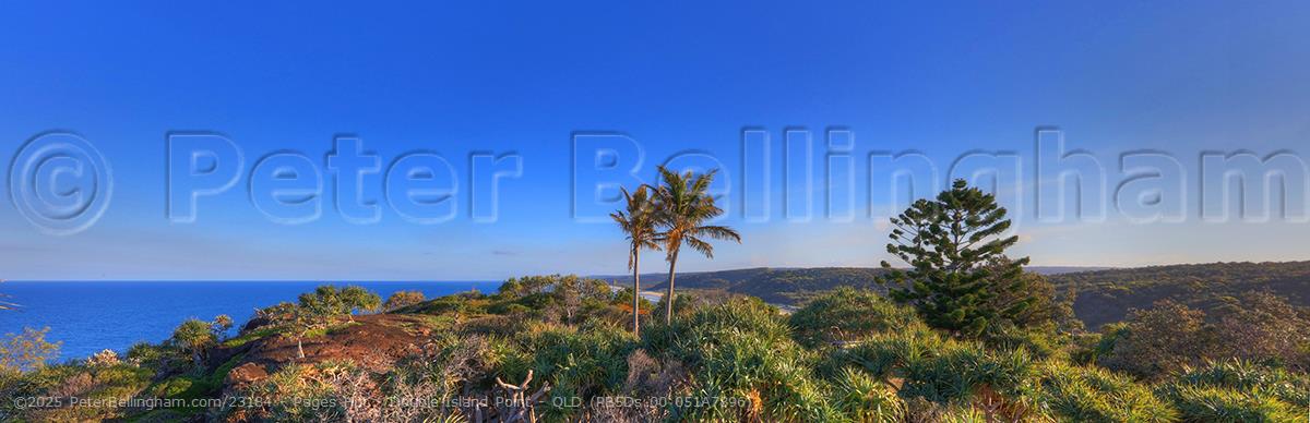 Peter Bellingham Photography Pages Hut - Double Island Point - QLD (PB5Ds 00 051A7896)